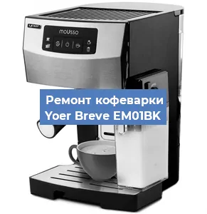 Замена прокладок на кофемашине Yoer Breve EM01BK в Санкт-Петербурге